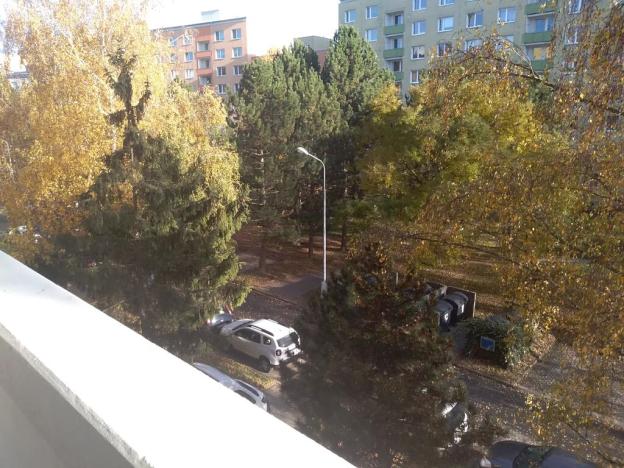 Prodej bytu 2+1, Brno, Ečerova, 60 m2