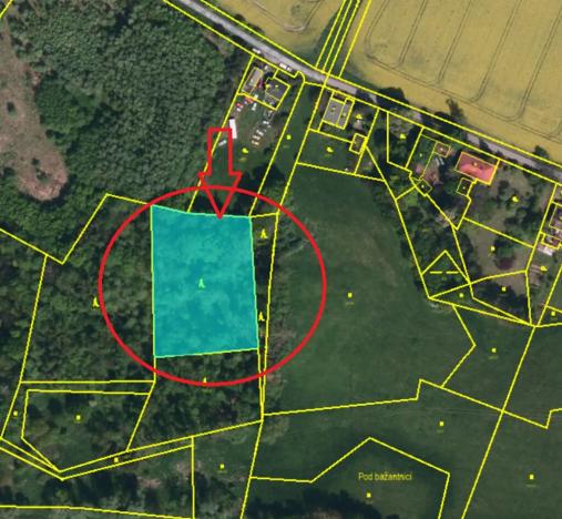 Prodej lesa, Ostrava, 4400 m2