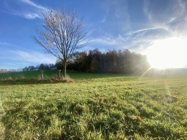 Prodej louky, Mníšek, 33698 m2