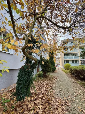 Prodej bytu 2+1, Kladno, Vašíčkova, 59 m2