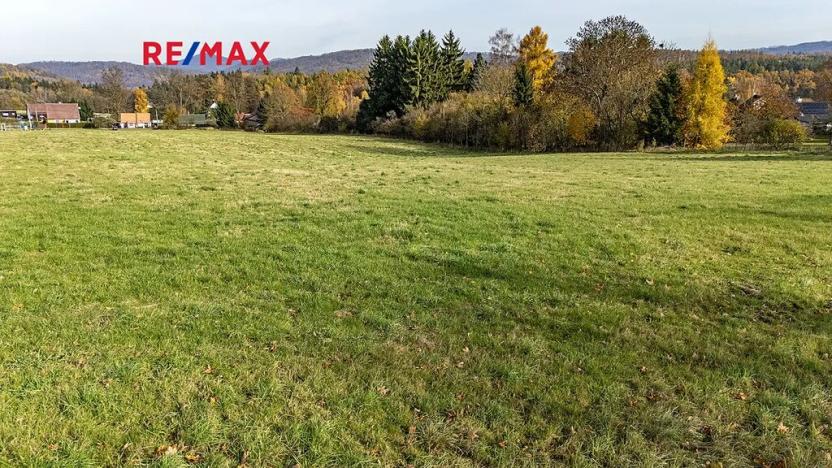 Prodej pozemku pro bydlení, Velká Bukovina, 1237 m2