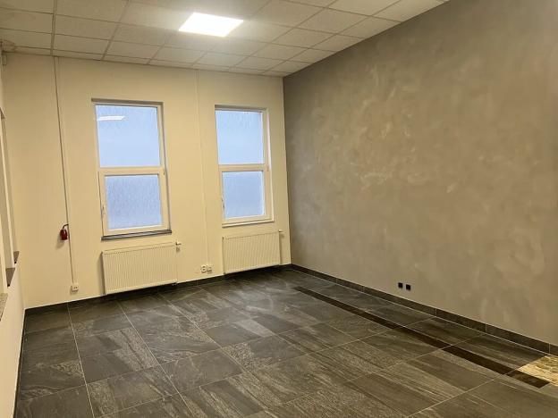 Pronájem obchodního prostoru, Dalovice, Botanická, 136 m2