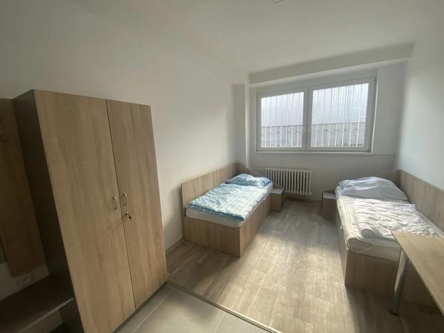 Pronájem ubytování, Dalovice, Botanická, 20 m2