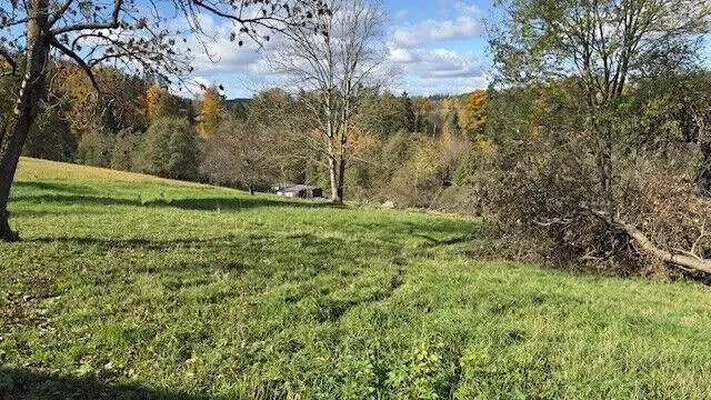 Prodej pole, Levínská Olešnice, 8891 m2