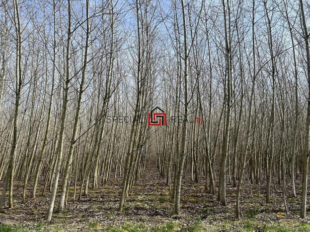 Prodej pole, Doubrava, 59227 m2