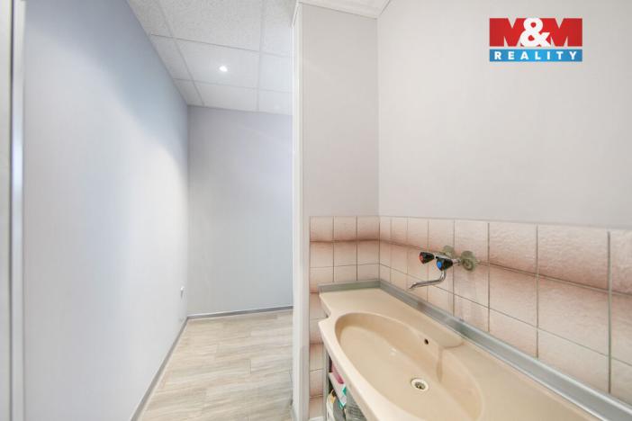 Prodej atypického bytu, Březová, Smetanova, 177 m2