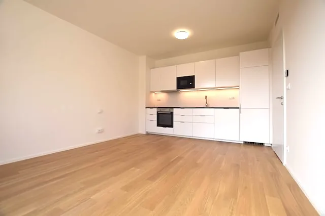 Pronájem bytu 1+kk, Praha - Lysolaje, Lysolajské údolí, 30 m2