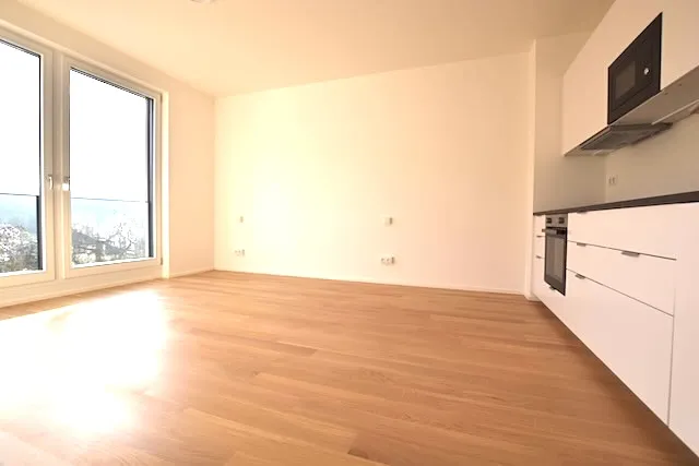 Pronájem bytu 1+kk, Praha - Lysolaje, Lysolajské údolí, 30 m2