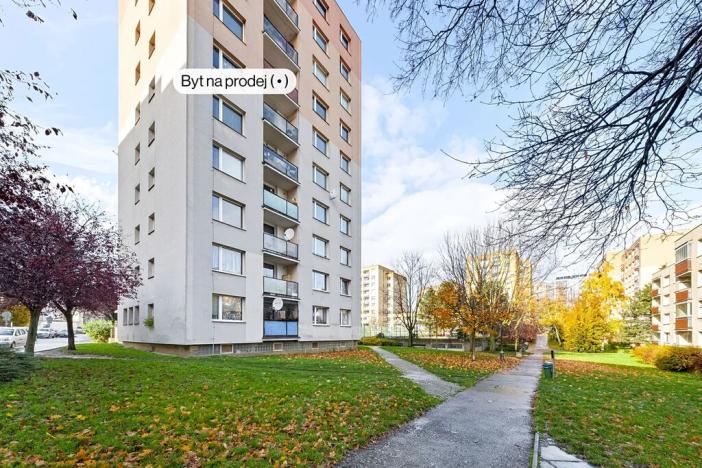 Prodej bytu 3+1, Benešov, Jiřího Horáka, 59 m2