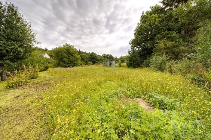 Prodej chalupy, Plasy, 174 m2