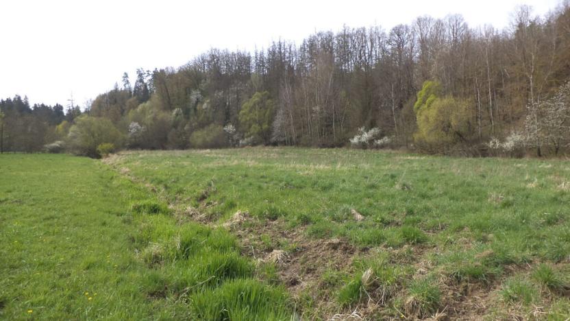 Prodej pozemku, Dešná - Dančovice, 4036 m2