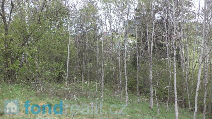 Prodej pozemku, Mosty u Jablunkova, 8296 m2