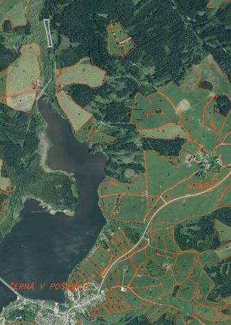 Prodej pole, Černá v Pošumaví, 16994 m2