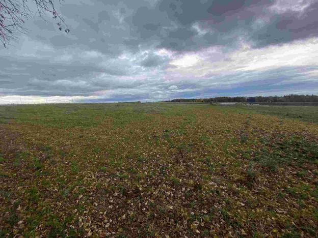 Prodej komerčního pozemku, Strážkovice, 4604 m2