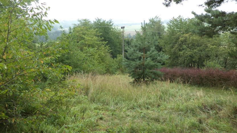 Prodej pozemku, Skuteč, 881 m2