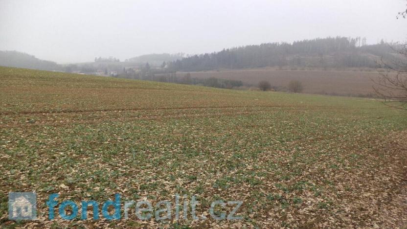 Prodej pole, Zvěstov, 51947 m2