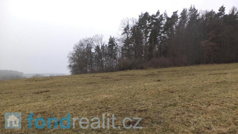 Prodej pole, Zvěstov, 51947 m2