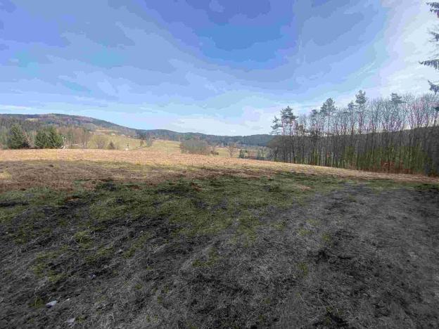 Prodej pole, Kraslice, 3869 m2