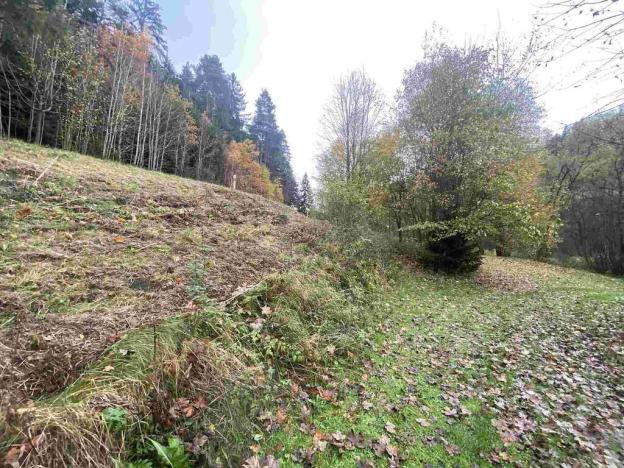 Prodej pozemku, Hartmanice, 2902 m2