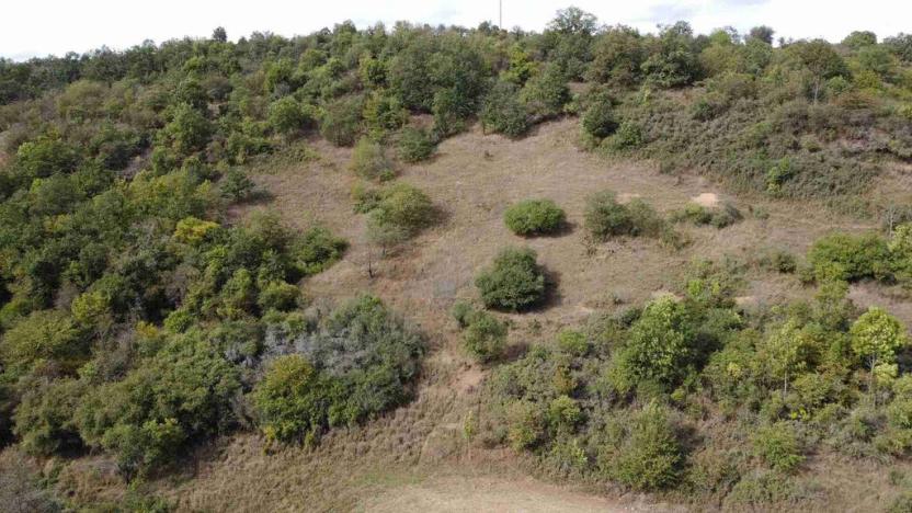 Prodej pole, Řehlovice - Stadice, 22441 m2