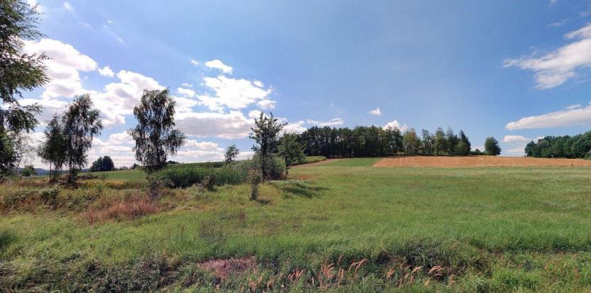 Prodej pozemku, Nová Ves u Mladé Vožice, 5392 m2