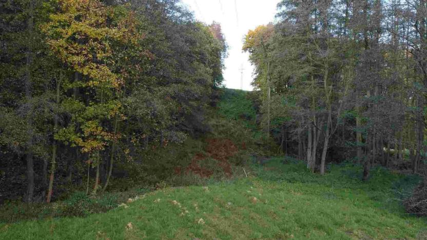 Prodej pozemku, Hrádek nad Nisou - Dolní Sedlo, 543 m2