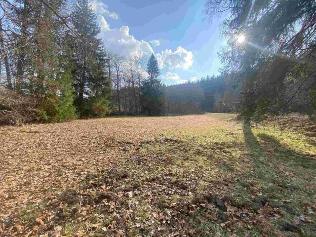 Prodej pozemku, Bartošovice v Orlických horách, 2009 m2