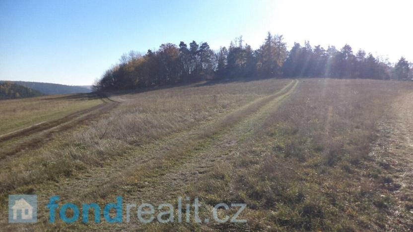 Prodej pole, Prostějovičky, 4403 m2