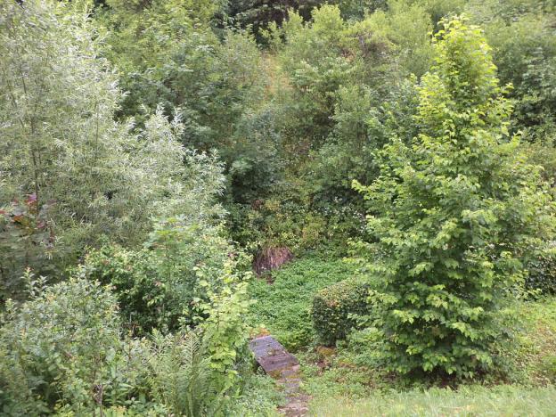 Prodej pozemku, Liberk, 2268 m2