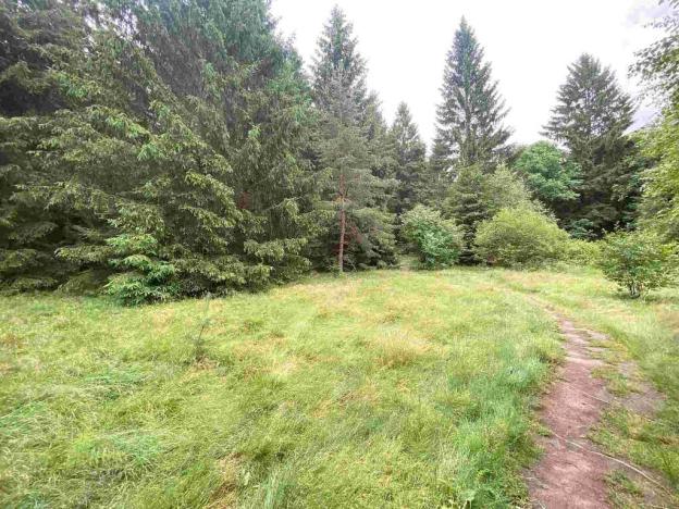 Prodej pole, Krásná, 11900 m2