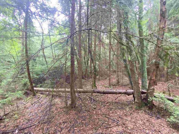 Prodej pole, Krásná, 11900 m2