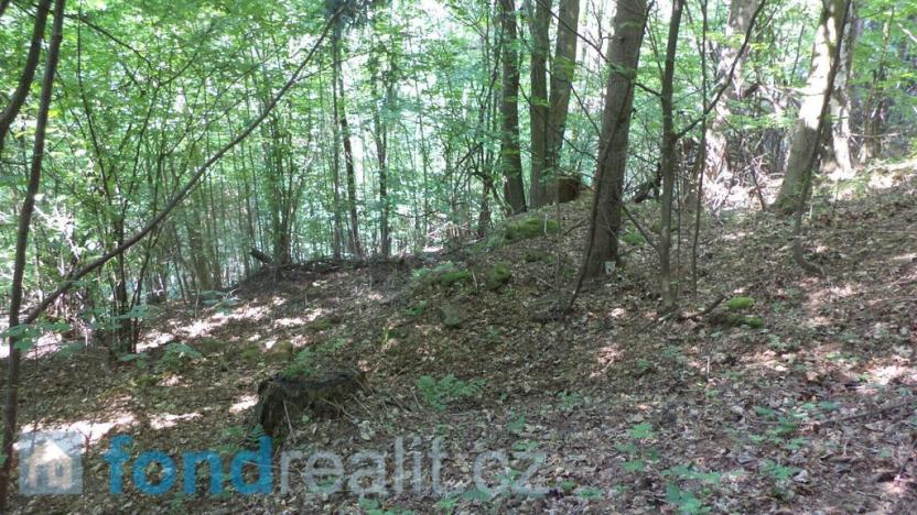 Prodej pozemku, Dolní Dobrouč, 4634 m2