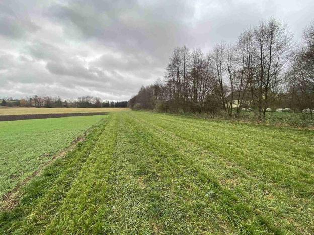 Prodej pole, Oráčov, 19275 m2