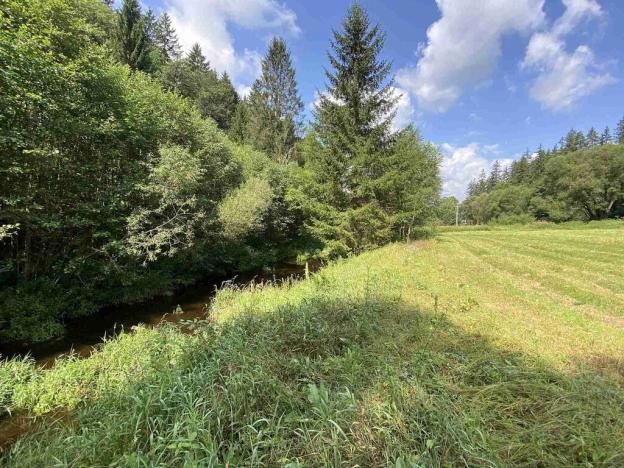 Prodej pole, Kaplice - Blansko, 843 m2