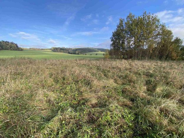 Prodej pozemku, Králíky - Horní Lipka, 3207 m2