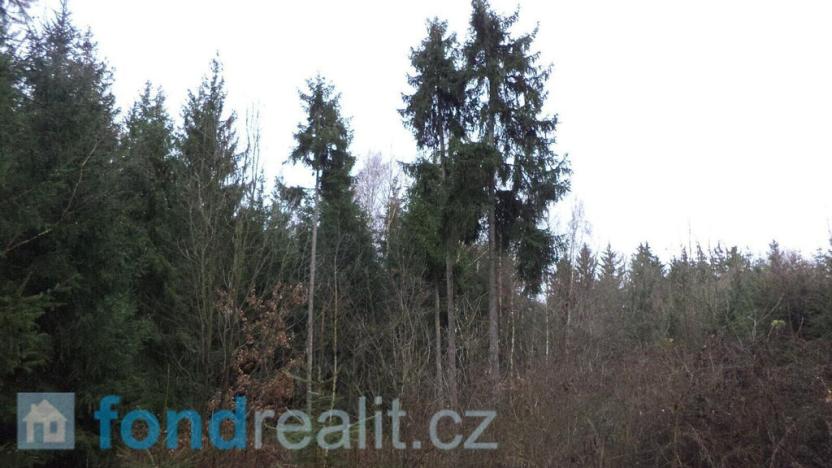 Prodej lesa, Myslkovice, 9683 m2