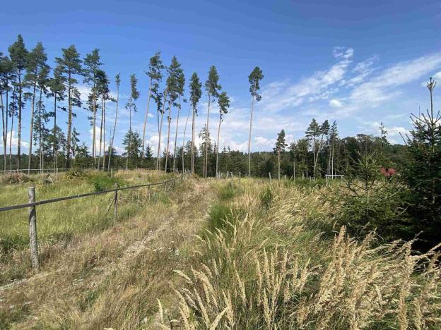 Prodej pozemku, Kočov, 8532 m2