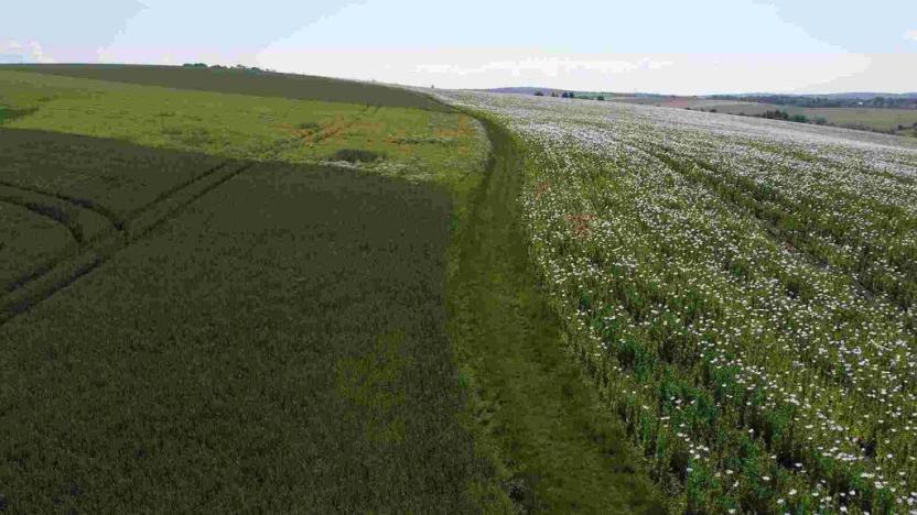 Prodej pole, Bučovice, 3134 m2