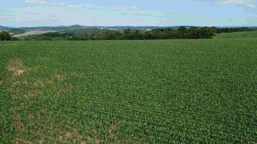 Prodej pozemku, Dobrkovice, 30944 m2