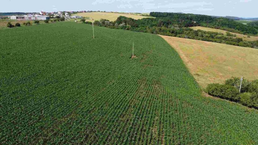 Prodej pozemku, Dobrkovice, 30944 m2