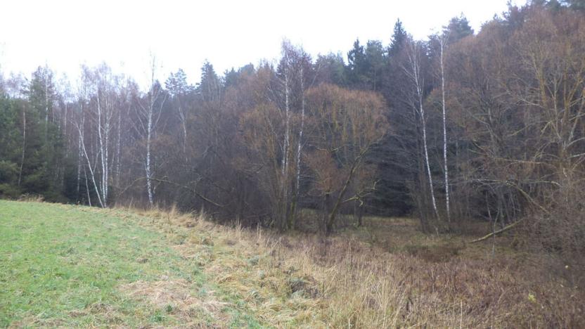 Prodej pozemku, Vyšší Brod, 919 m2