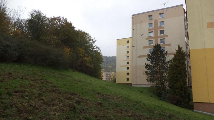 Prodej pozemku, Ústí nad Labem - Mojžíř, 14780 m2