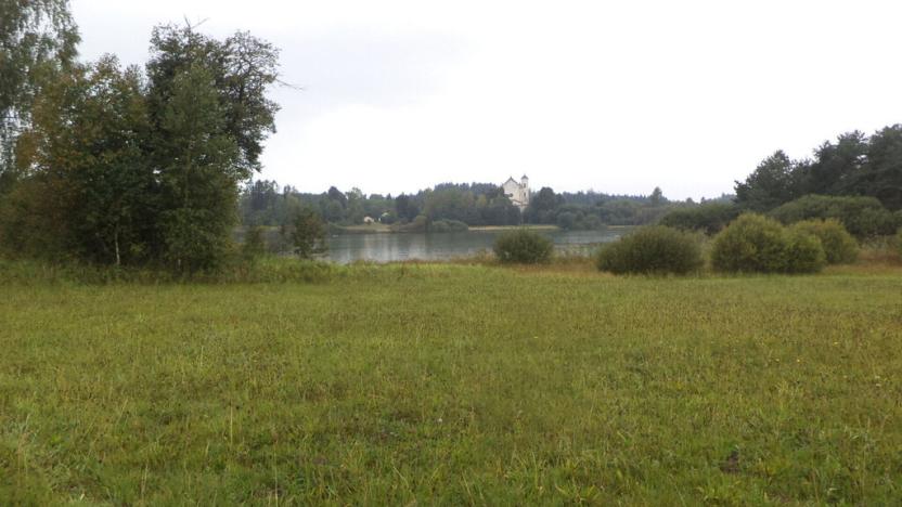 Prodej pozemku, Nová Bystřice, 2593 m2