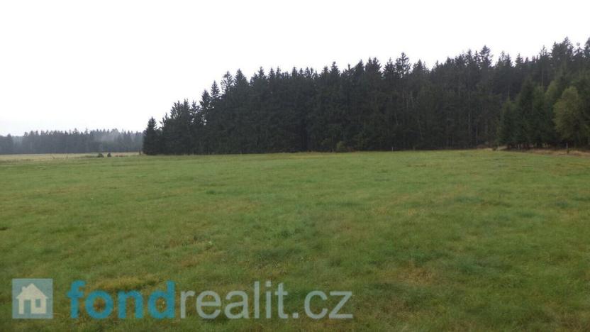 Prodej pozemku, Nová Bystřice, 10628 m2