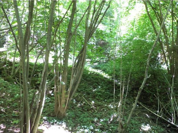 Prodej pozemku, Přídolí - Všeměry, 3581 m2