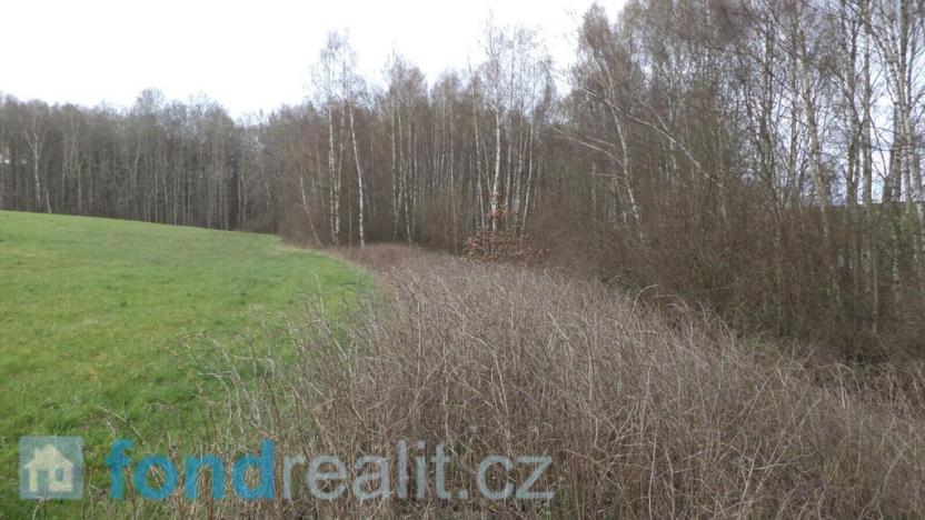 Prodej pozemku, Luby, 2757 m2