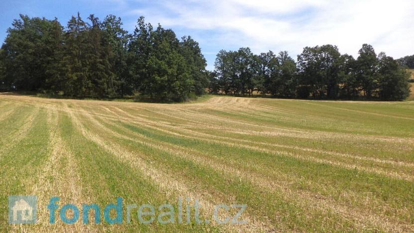 Prodej pole, Dříteň, 18412 m2