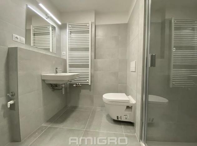 Pronájem bytu 1+kk, Brno, Reissigova, 32 m2