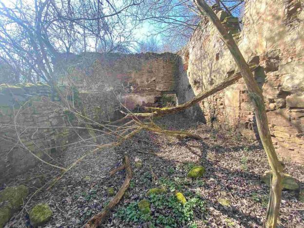 Prodej pozemku, Dolní Dvořiště - Všeměřice, 11107 m2