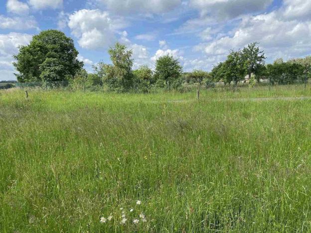 Prodej pozemku, Planá - Pavlovice, 1400 m2